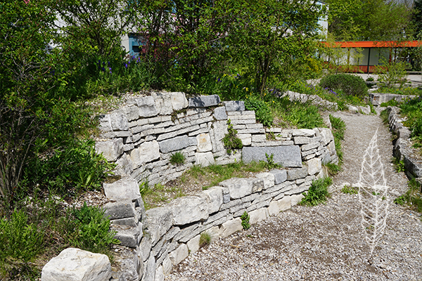 Naturstrategen Galerie