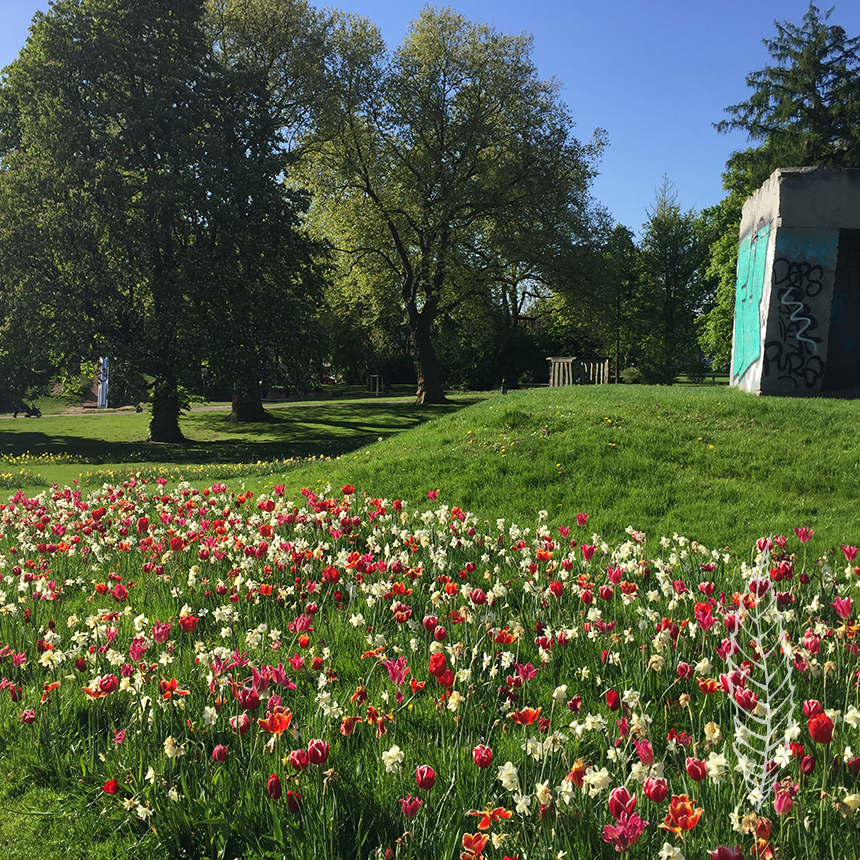 Öffentliches Grün Park