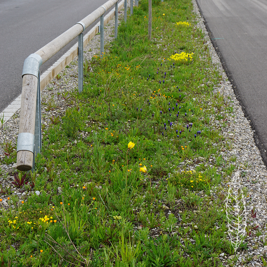 Verkehrsgrün